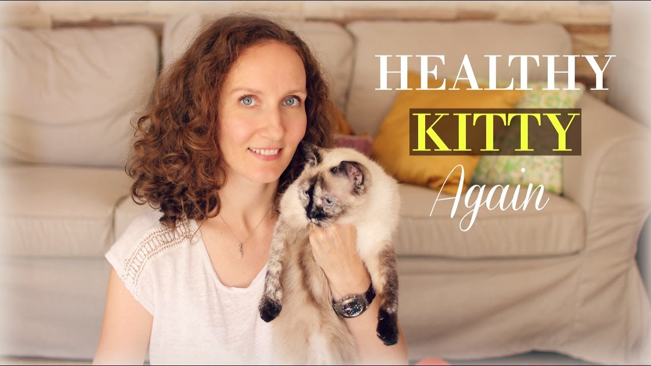 Home Remedy for Cystitis in Cats | Treat UTI in Cats with Apple Cider Vinegar