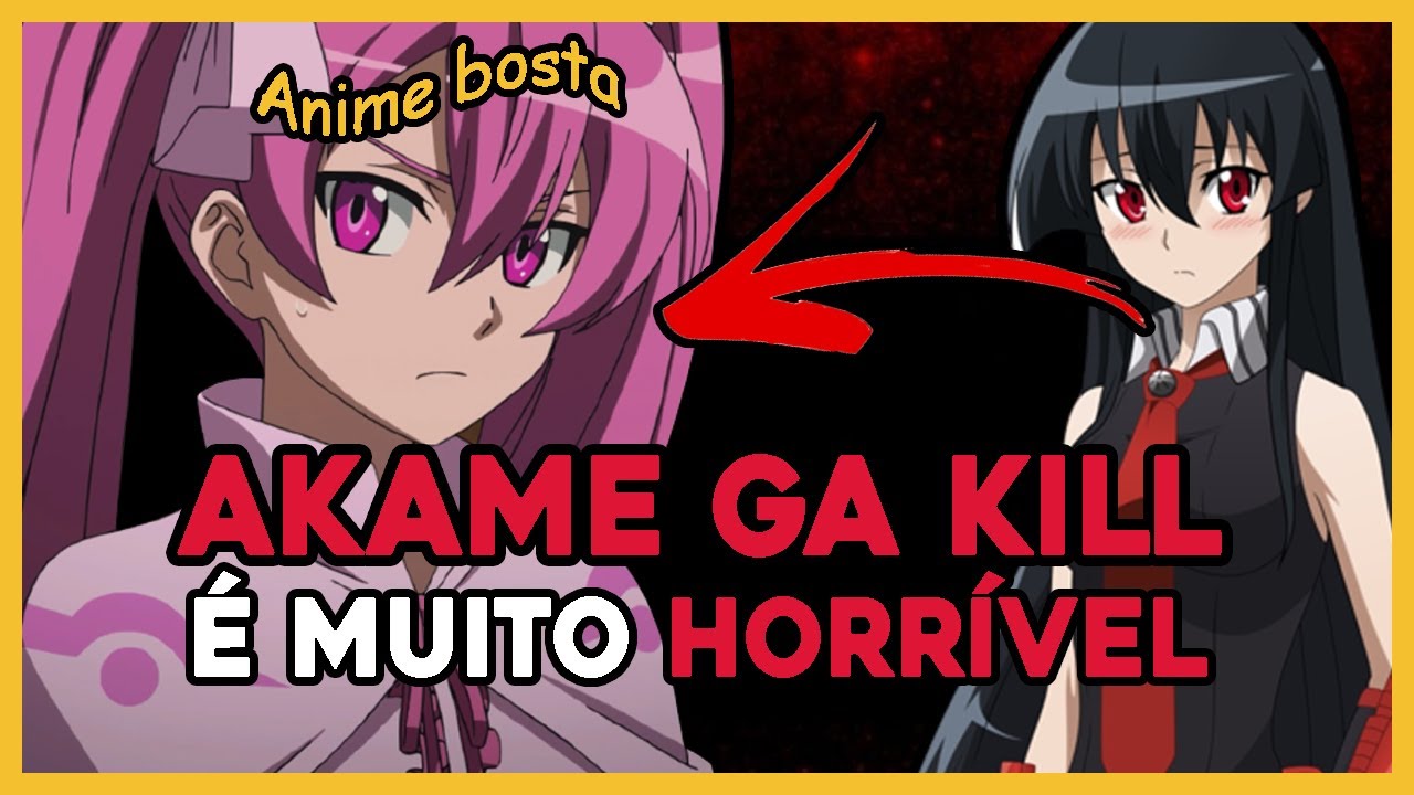 Criticando Akame Ga Kill