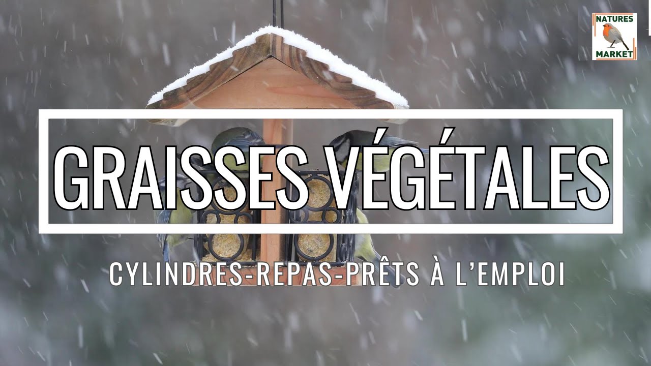 GRAISSES VÉGÉTALES - sans huile de palme - Natures Market