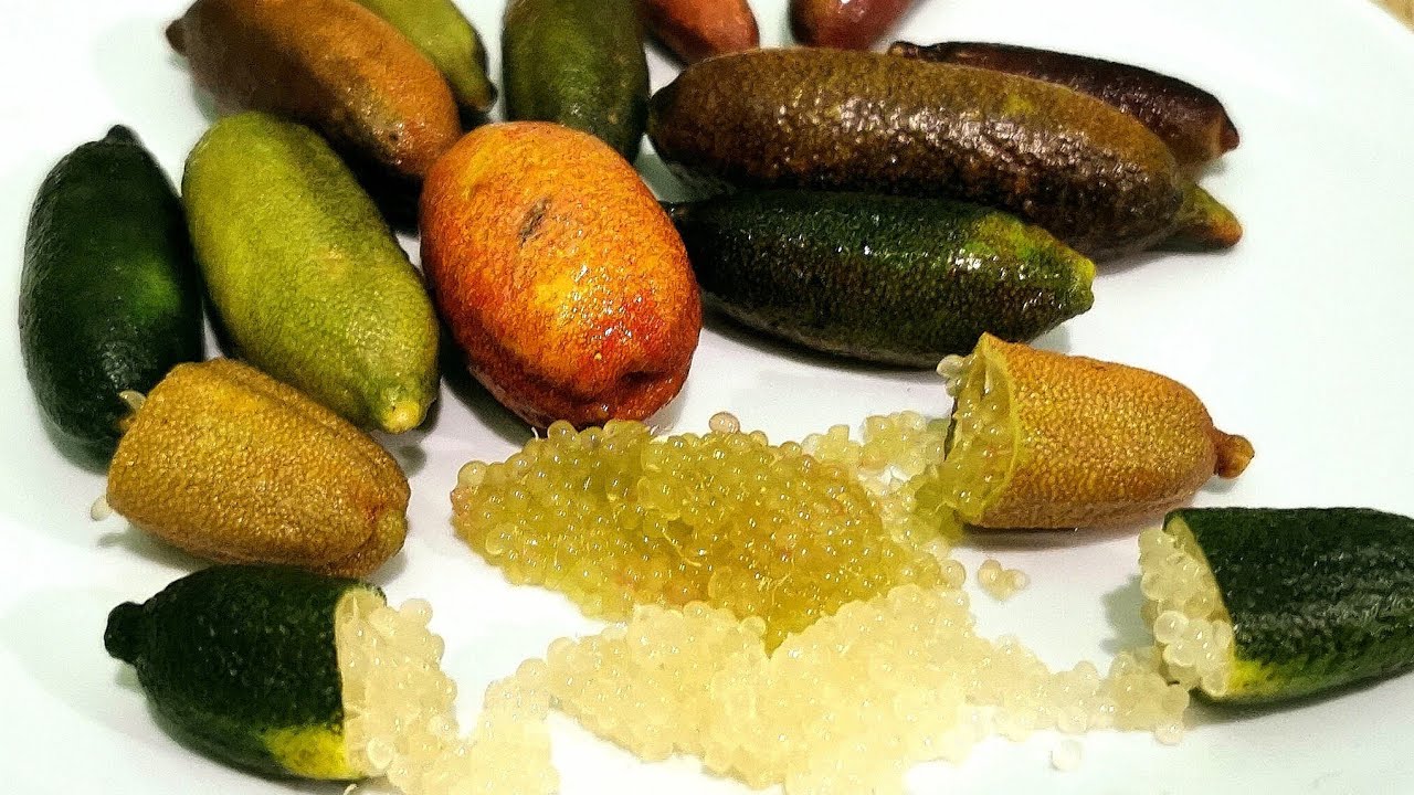O.435 Tropikalne smaki - Lime finger czyli kawior z kt&oacute;rego wypada kawior cytrynowy.