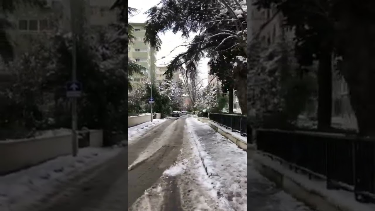 Feneryolu; 25.01.22