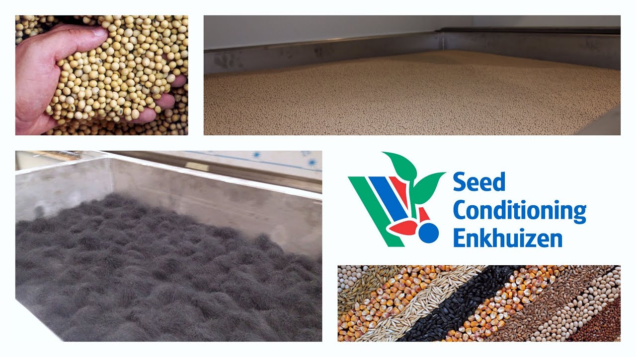 Fluid bed seed dryer by Seed Conditioning Enkhuizen (conditioned drying)