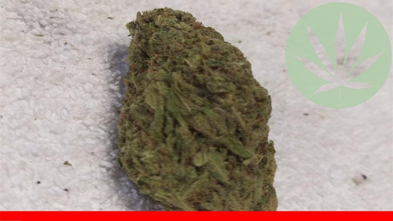Afgoo - All About This Strain