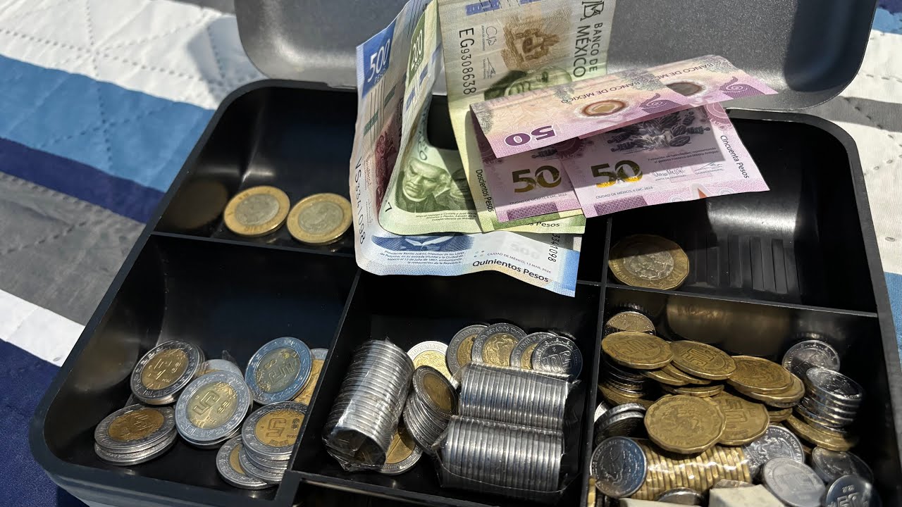 Organizando los pagos 😭💳 - Mis ahorros 🙈