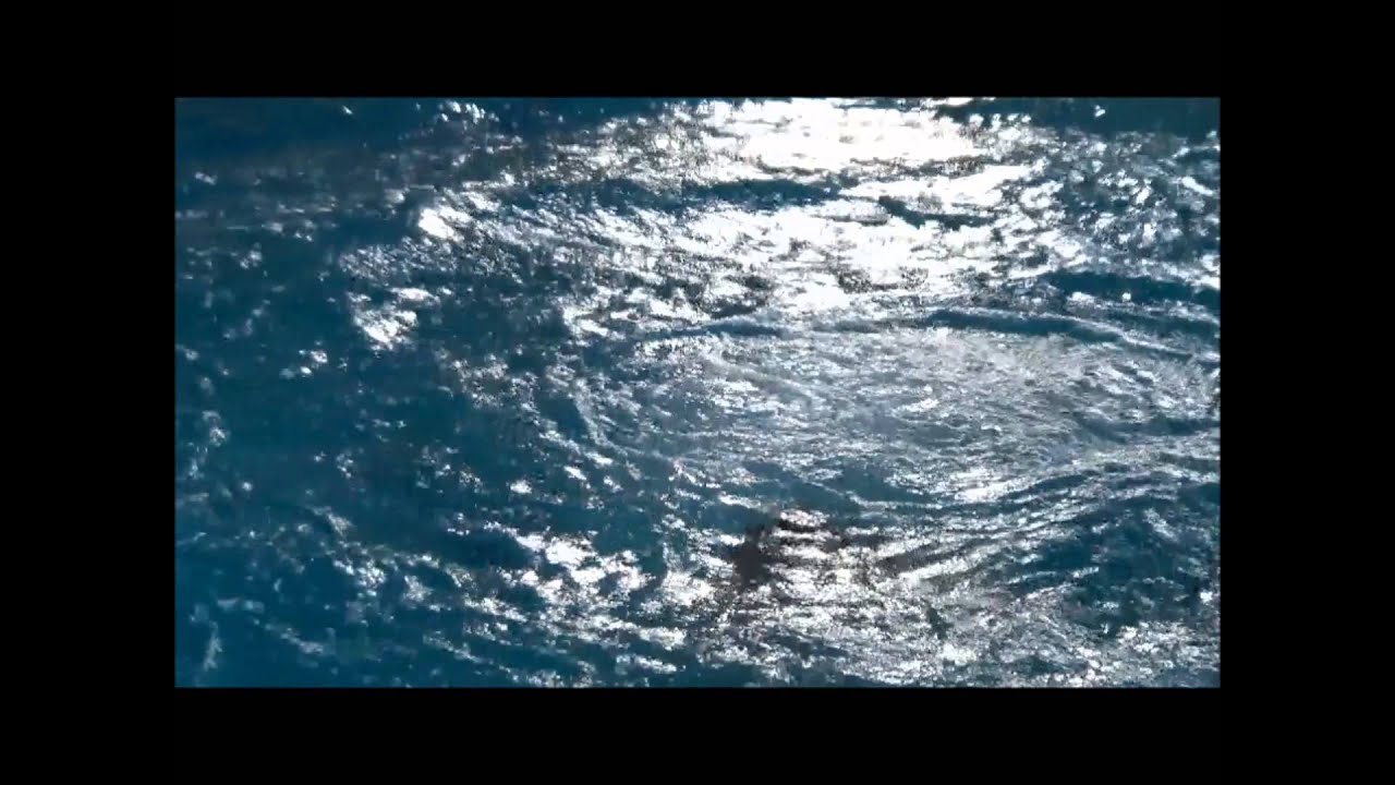 Spa&szlig; in der Badebucht !