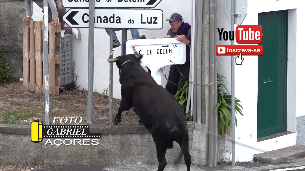 O Melhor de 2025 -Toiros &Touradas (Video #3)