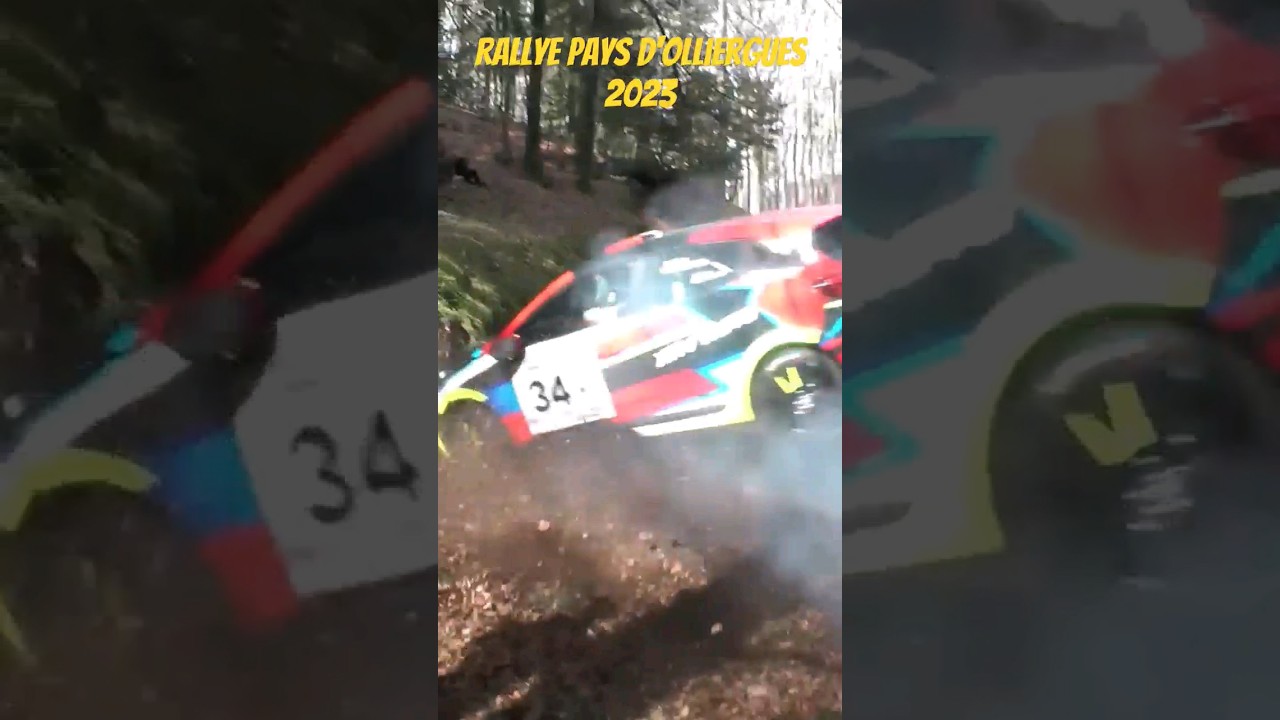 Rally Crash - Renault Clio Rally4 #rally #crash #rallycrash #rallye #renaultsport #clio #mistakes