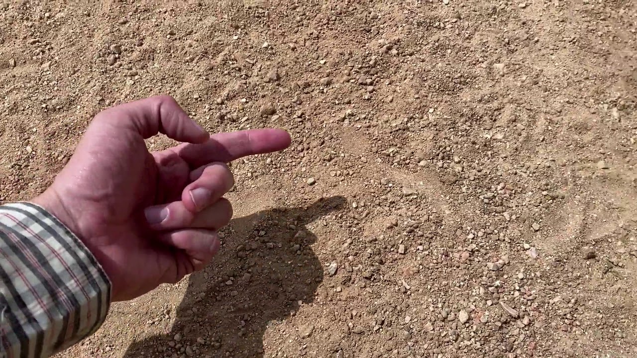 Are these rattlesnake tracks?