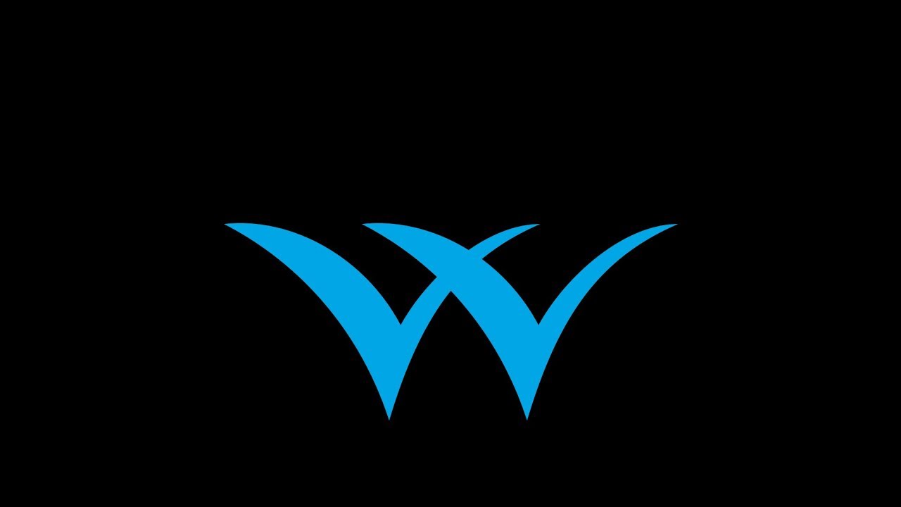 A Primer : The Welspun Group