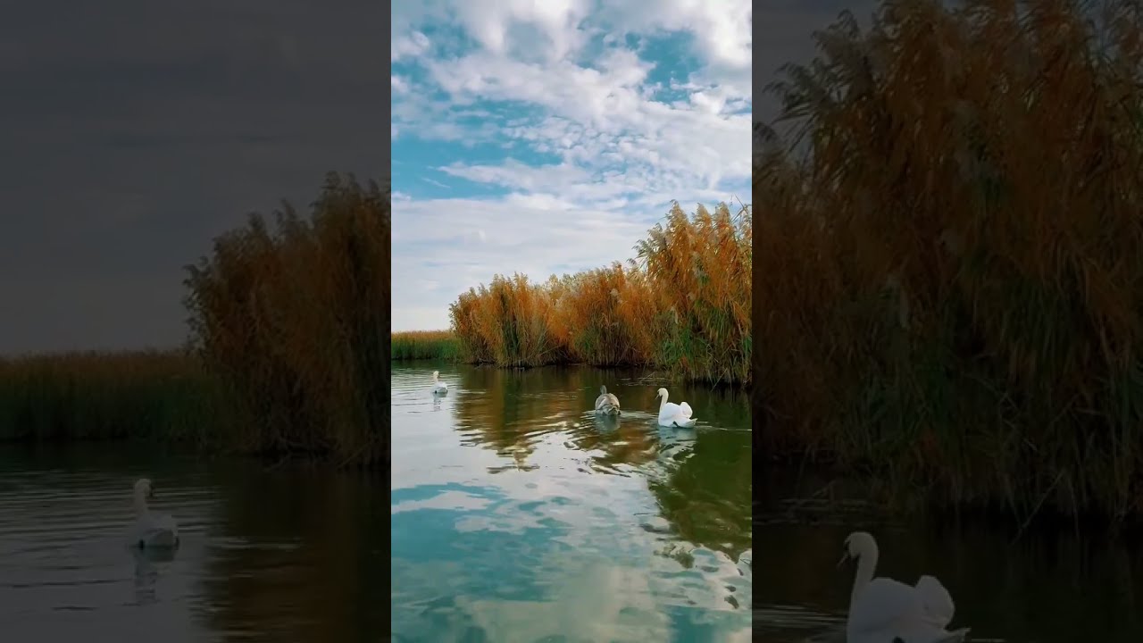 Tisza, ahol megáll az idő – Egy nyugodt nap a vízparton | Srác a Tiszán