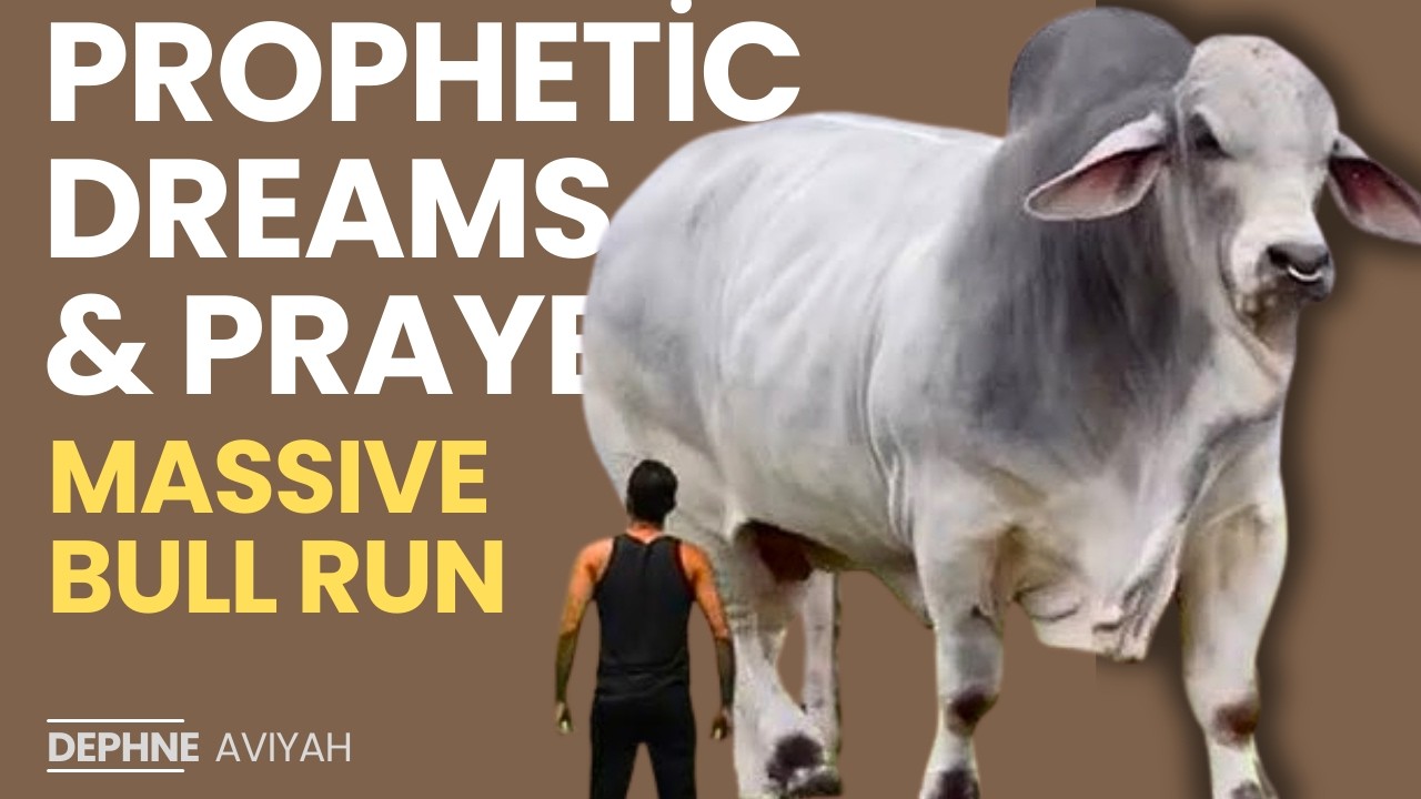 A SUDDEN MASSIVE BULL RUN -  Prophetic Dreams & Prayer with Dephne