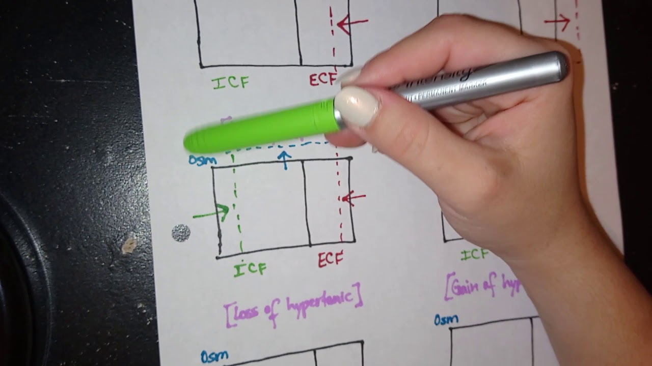Body Fluid Compartments Made Easy