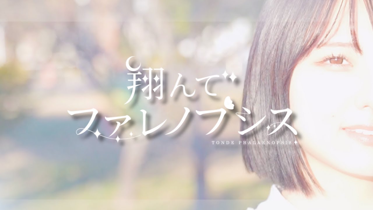 【新メンバー】翔んでファレノプシス
