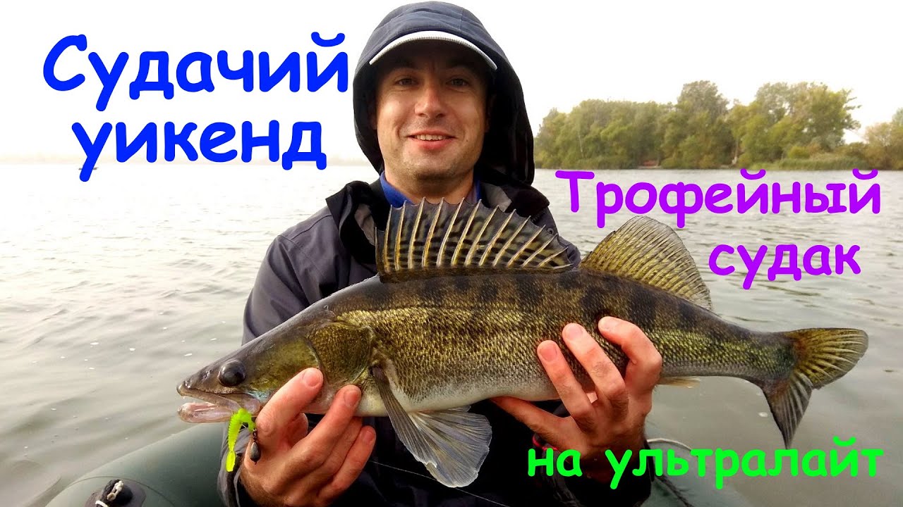 Судачий уикенд. Трофейный судак на ультралайт.