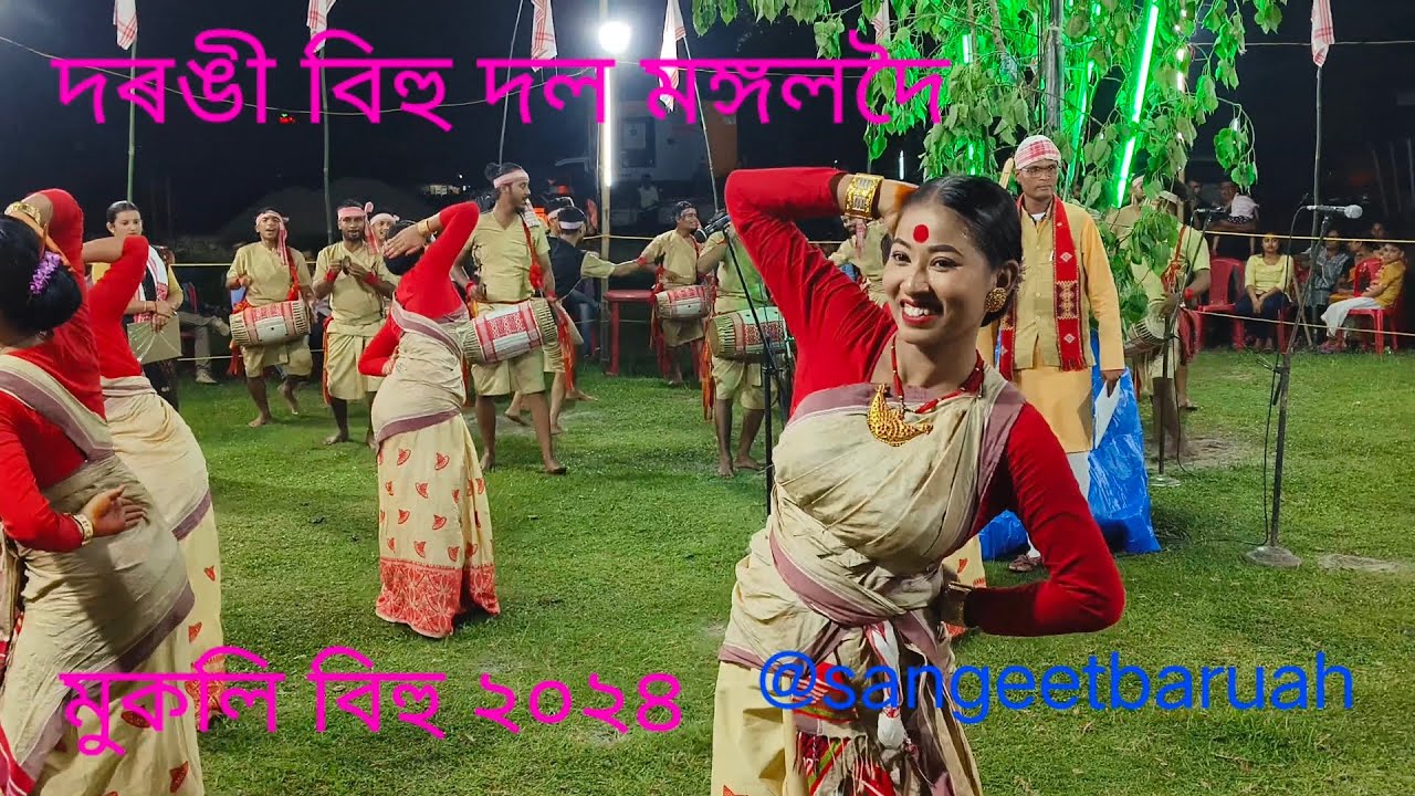 মুকলি বিহু ২০২৪///দৰঙী বিহু দল মঙ্গলদৈ///mukoli bihu 2024///