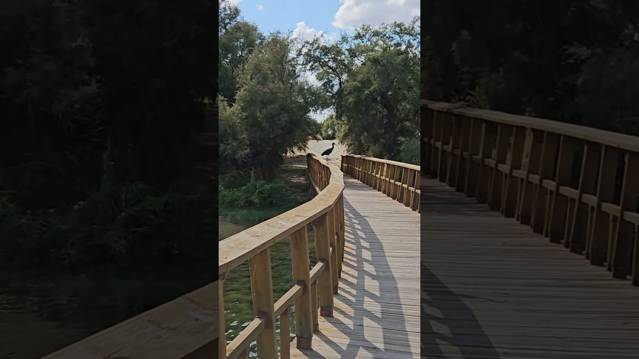 Escapada a 2 horas de Madrid: Tablas de Daimiel
