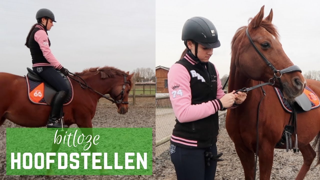 REVIEW: 5 soorten bitloze hoofdstellen testen | LeanneAbigail