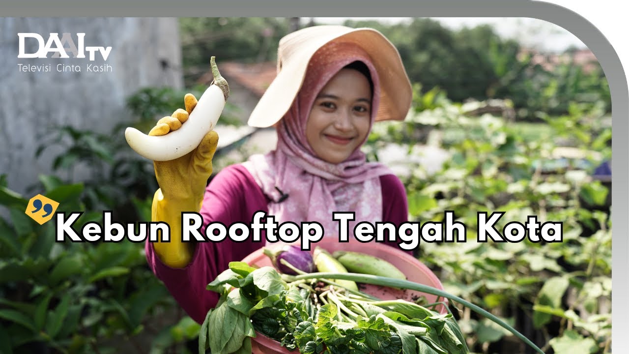 Kebun Atap Mini Hasil Melimpah