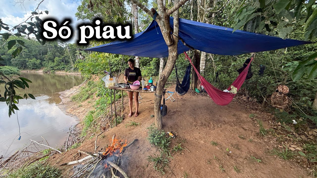 Muito PIAU no RIO BRANCO Alta Floresta Rondônia acampamento com muito peixe frito pássaros e animais
