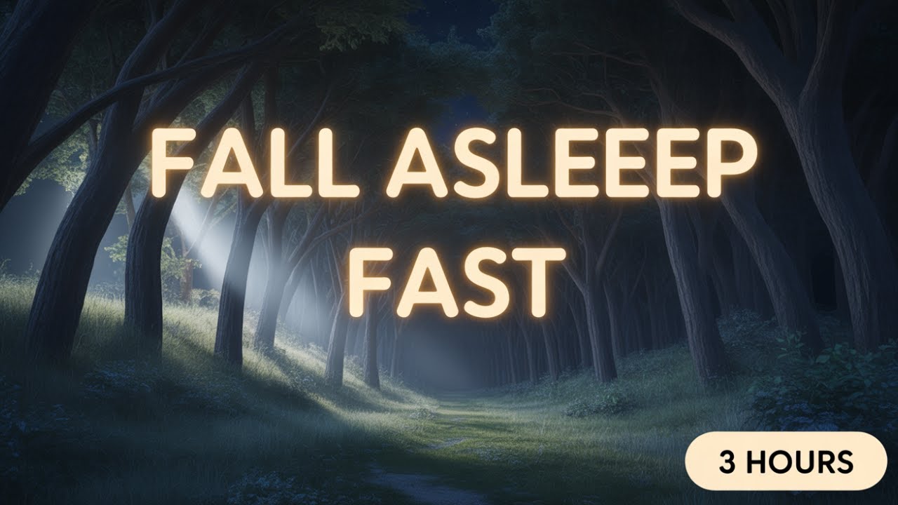 Night Walk Through a Sleeping Forest | 3 Hours to Fall Asleep