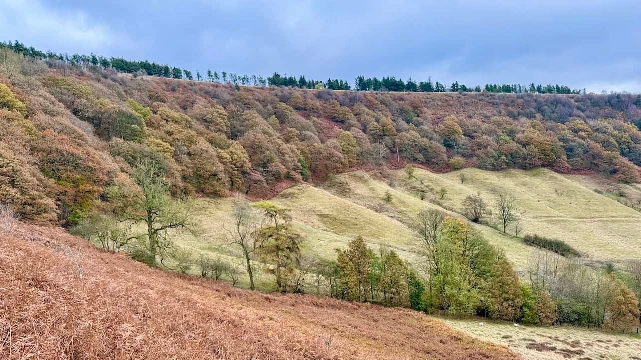 Hole of Horcum Walk: Discover Skelton Tower and Levisham Moor