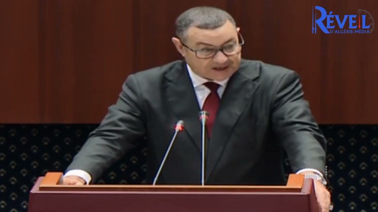 هذا هو مضمون مشروع القانون العضوي المتعلق بالأحزاب السياسية