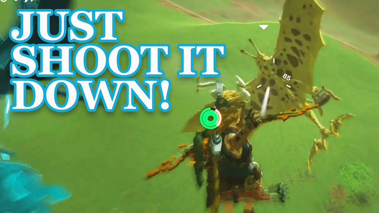 Zelda TotK - Unlocking Ulri Mountain Skyview Tower