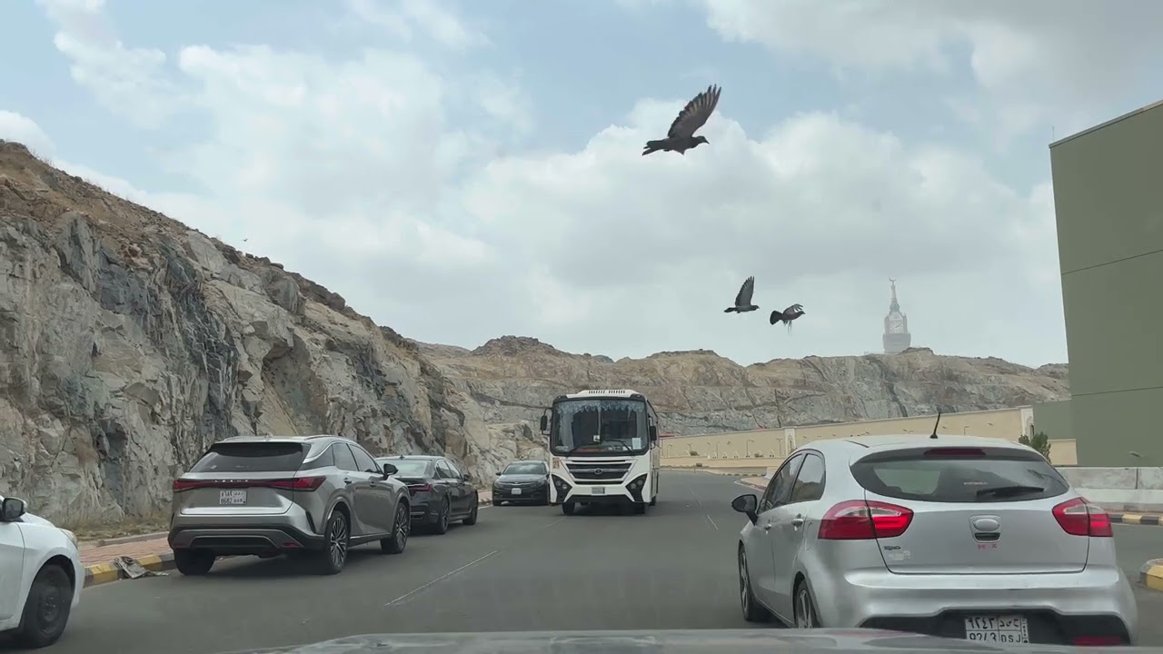 جولة صباحية في مناطق مكة المكرمة غرب السعودية