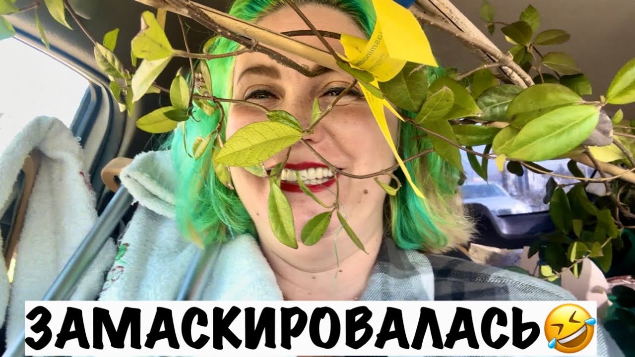 СЧЕТ ЗА СВЕТ В ЧЕРНОГОРИИ/ЦВЕТЫ/ТЕПЛИЦЫ