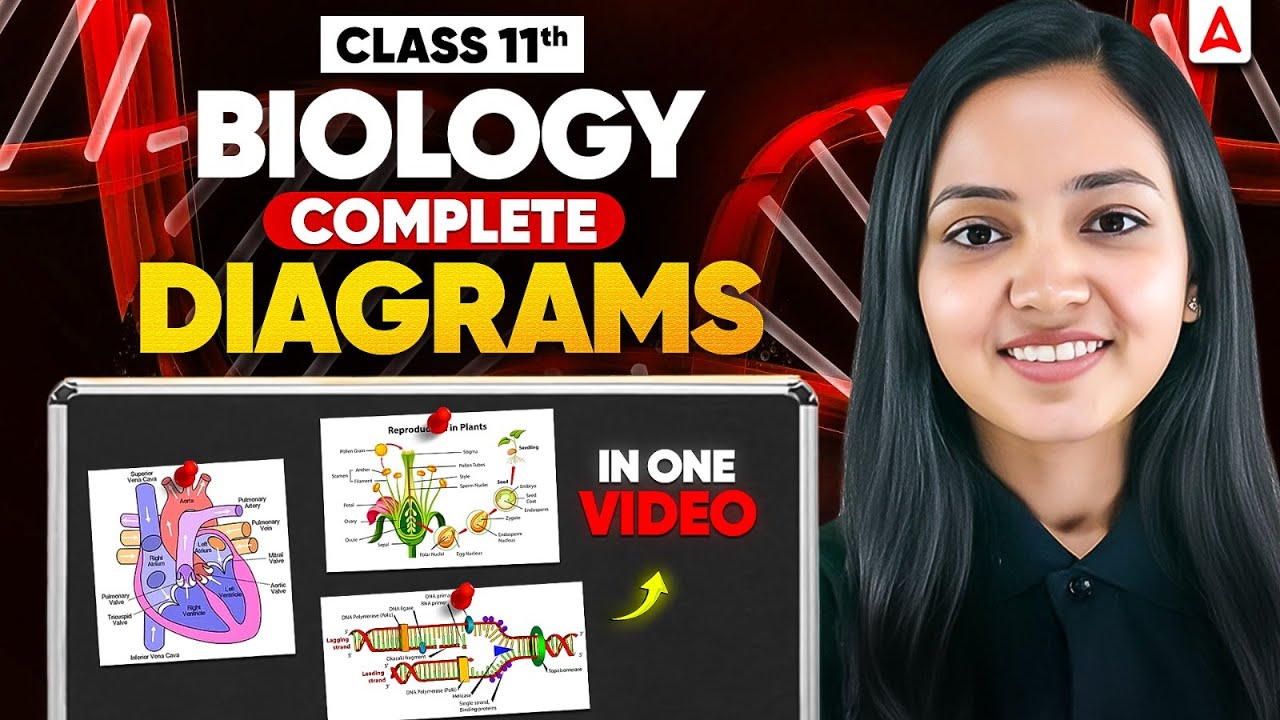 NEET 2026 Biology | Complete Biology Diagrams in One video | Shivani Ma'am