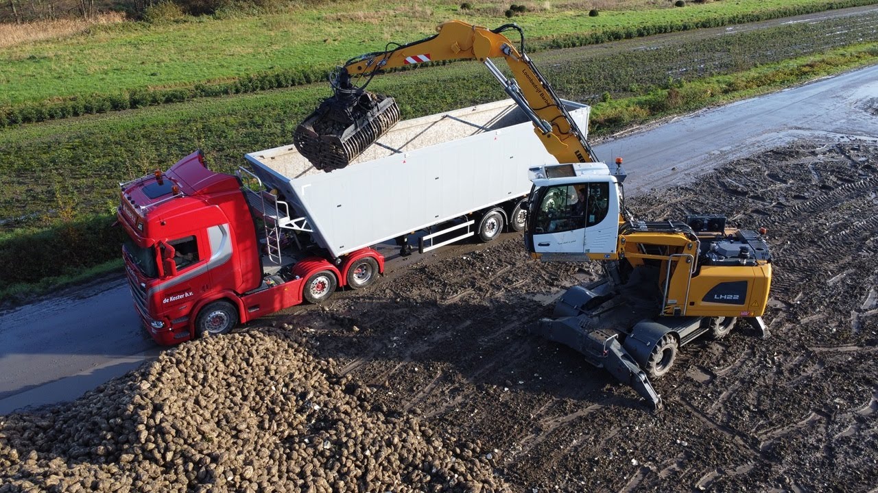Loading sugar beet | Suikerbieten laden | LIEBHERR LH 22 | 2023 | Loading trucks