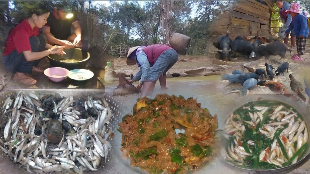 20 มกราคม ค.ศ. 2026แกงปลาชิวตำกุ้ง[ແກງປາຊິວຕຳກຸ້ງ]