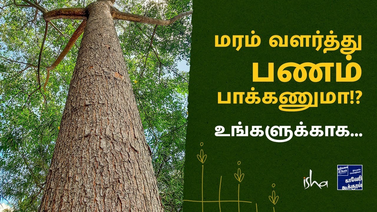 மர விவசாயம் செய்ய முழுமையான ஆலோசனை வழங்கும் காவேரி கூக்குரல்