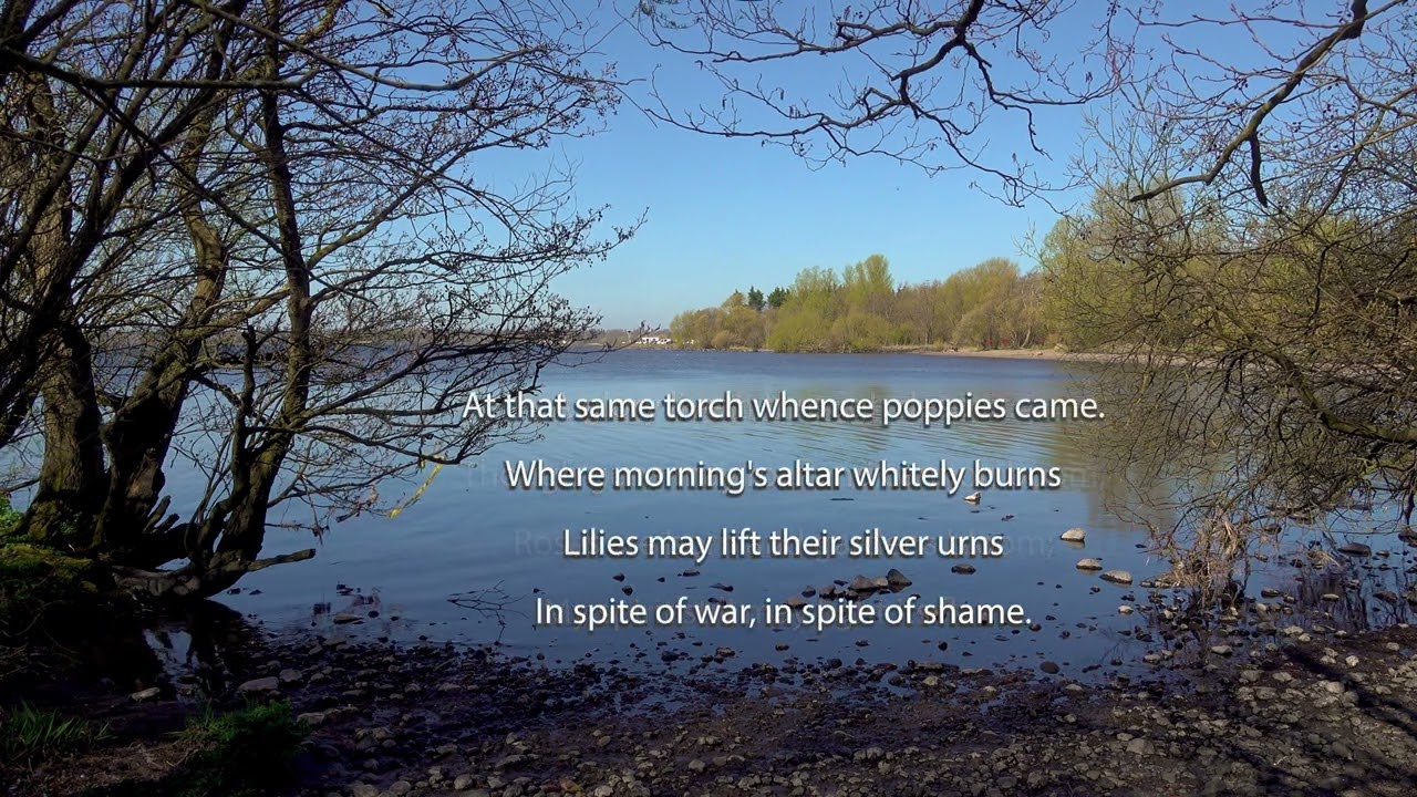 IN SPITE OF WAR | Inspirational Poem by Angela Morgan, read by John Callister (Northern Ireland)