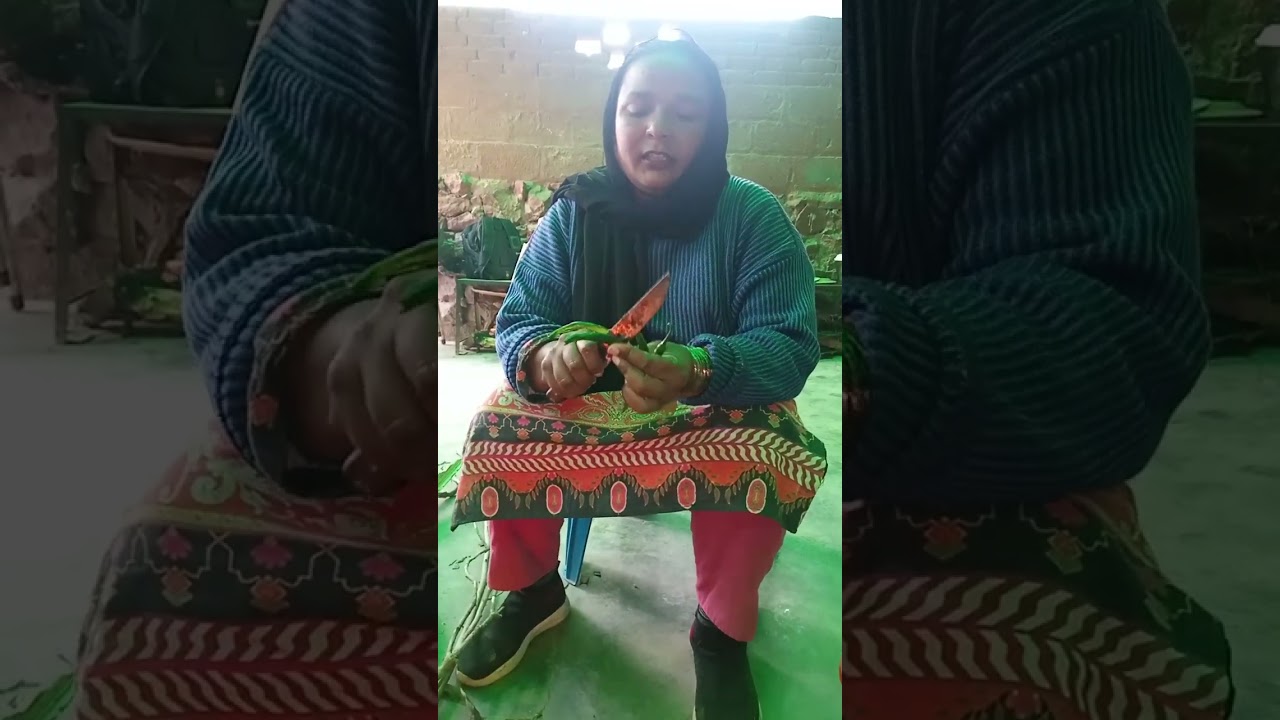 Aj matter kaleji banaen