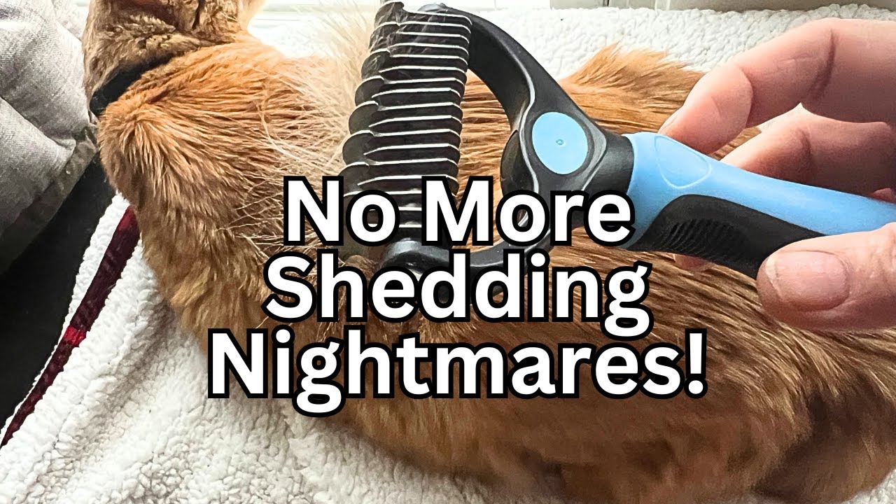 2-Sided Undercoat Rake Review &ndash; The Best Grooming Tool for Shedding Cats & Dogs!