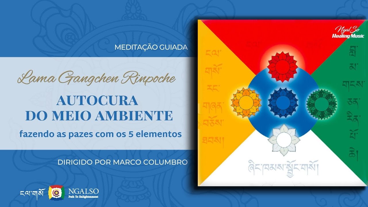 Autocura do Meio Ambiente