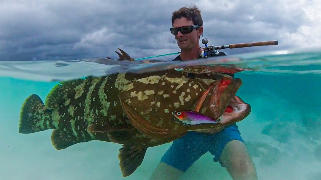 I should NOT have landed this Giant Grouper Beach Fishing