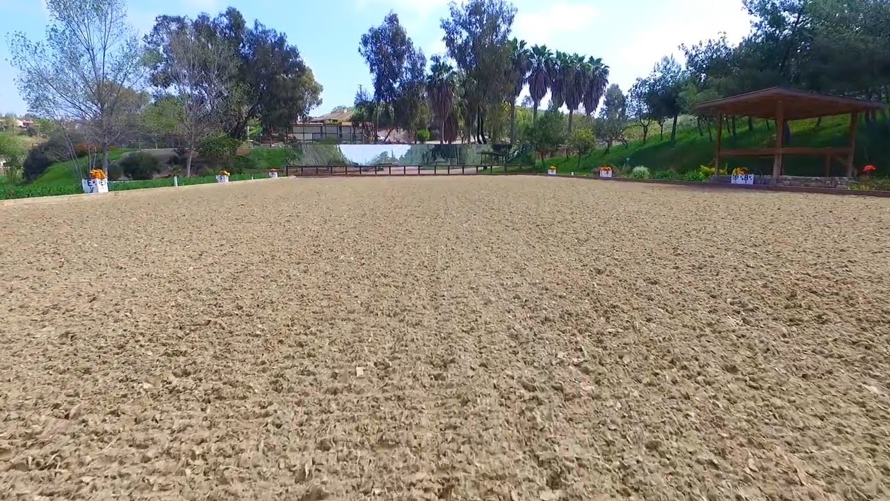 Steffen Peters rides on OTTO Sport and Premier Equestrian Footing