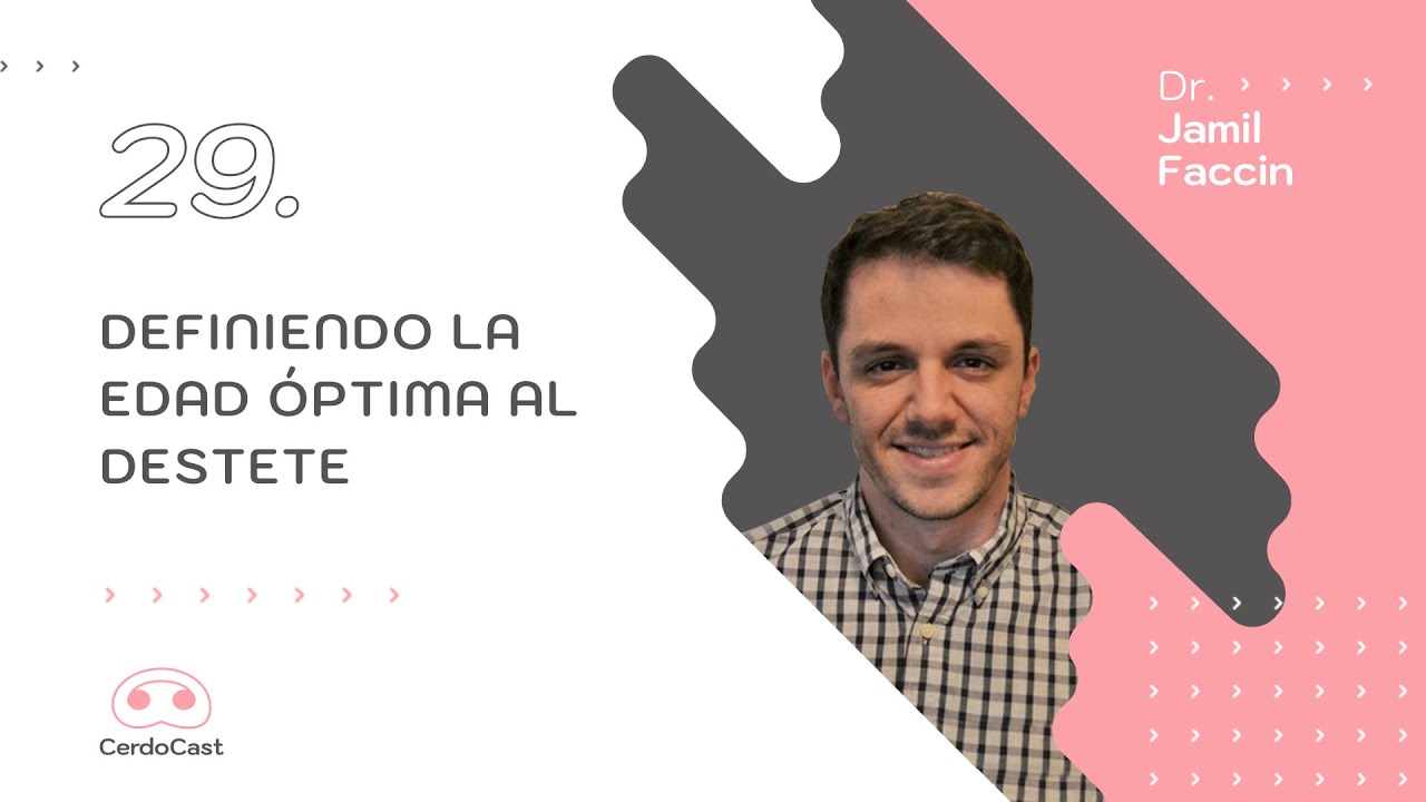 Dr. Jamil Faccin - Definiendo la edad óptima al destete
