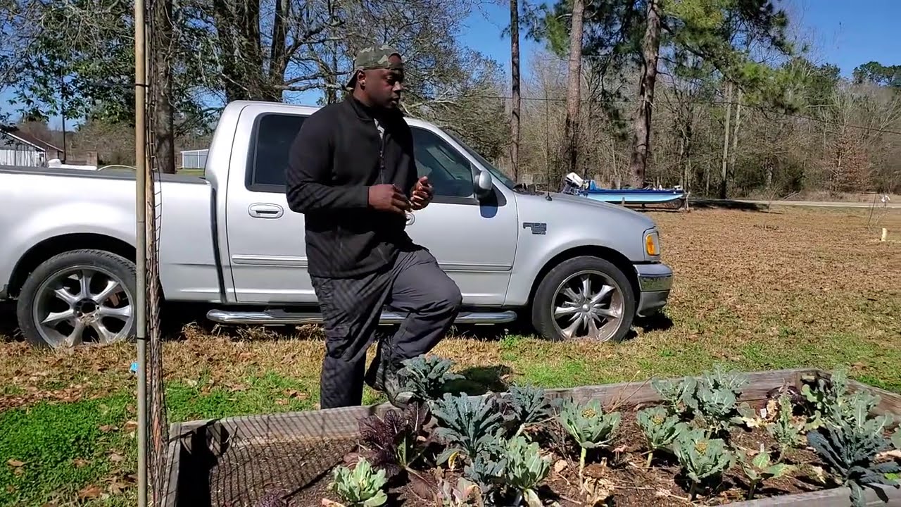 FOR BEGINNER GARDENERS| Watch THIS before You Give up!!!!