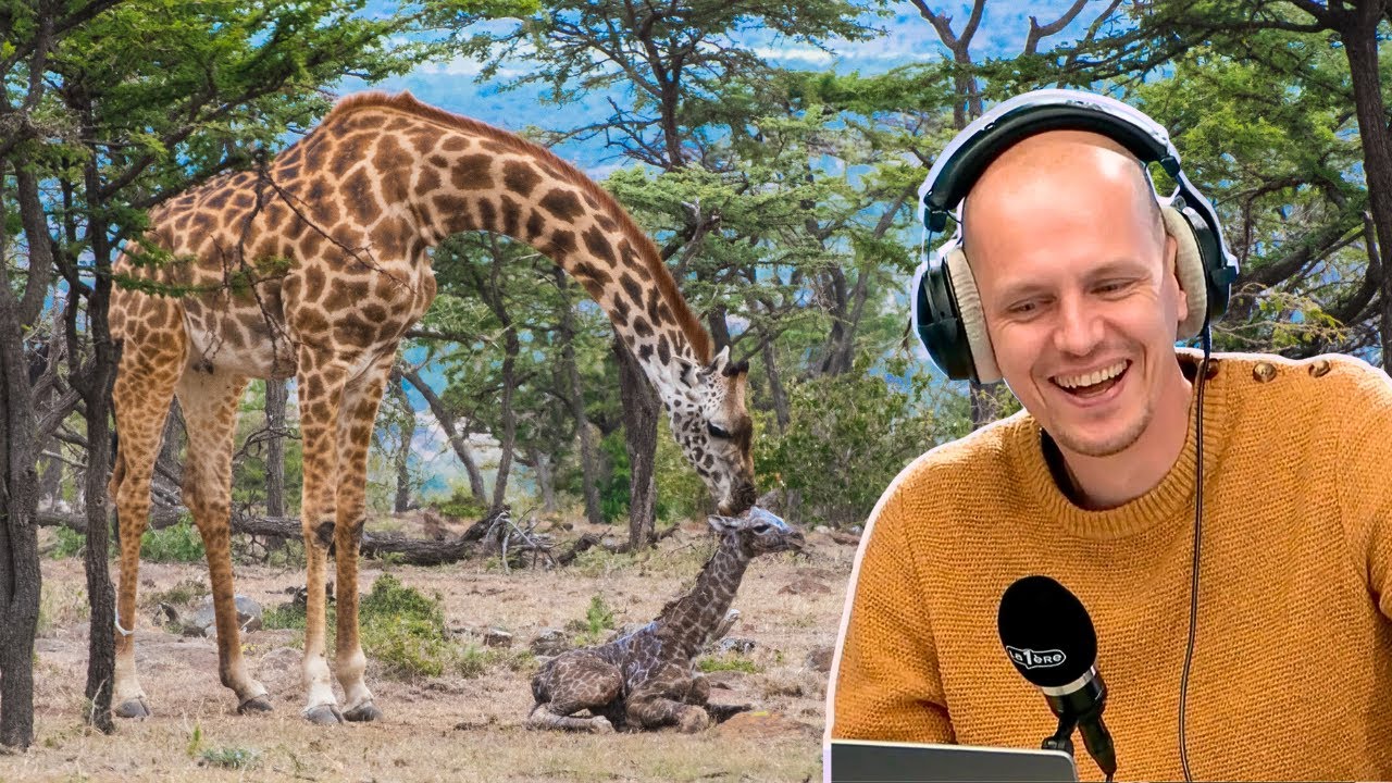 La communication (sincère?) des parcs zoologiques