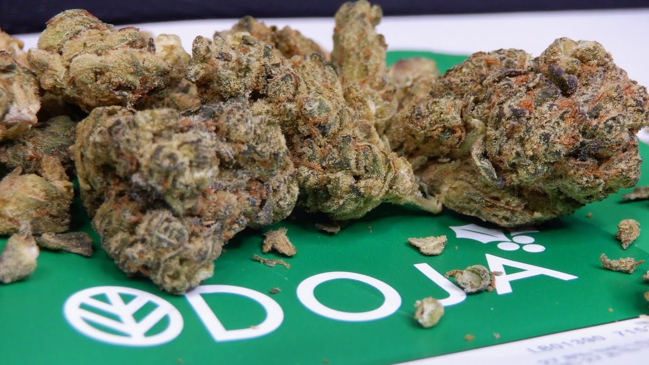Strain Review Red Fatso By DOJA