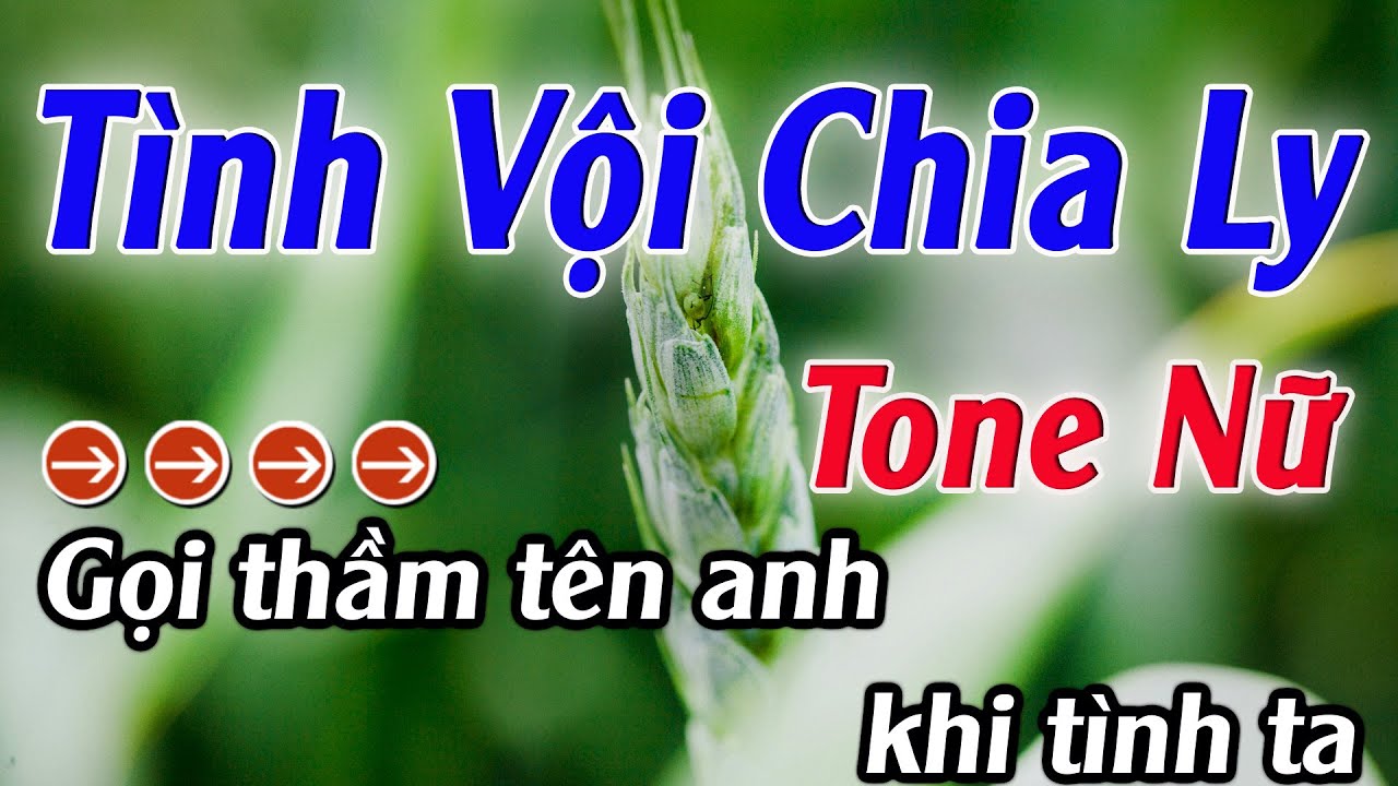 Karaoke Tình Vội Chia Ly Karaoke Tone Nữ Beat Mới Nhất 2025 Karaoke Mê Nhạc Sống