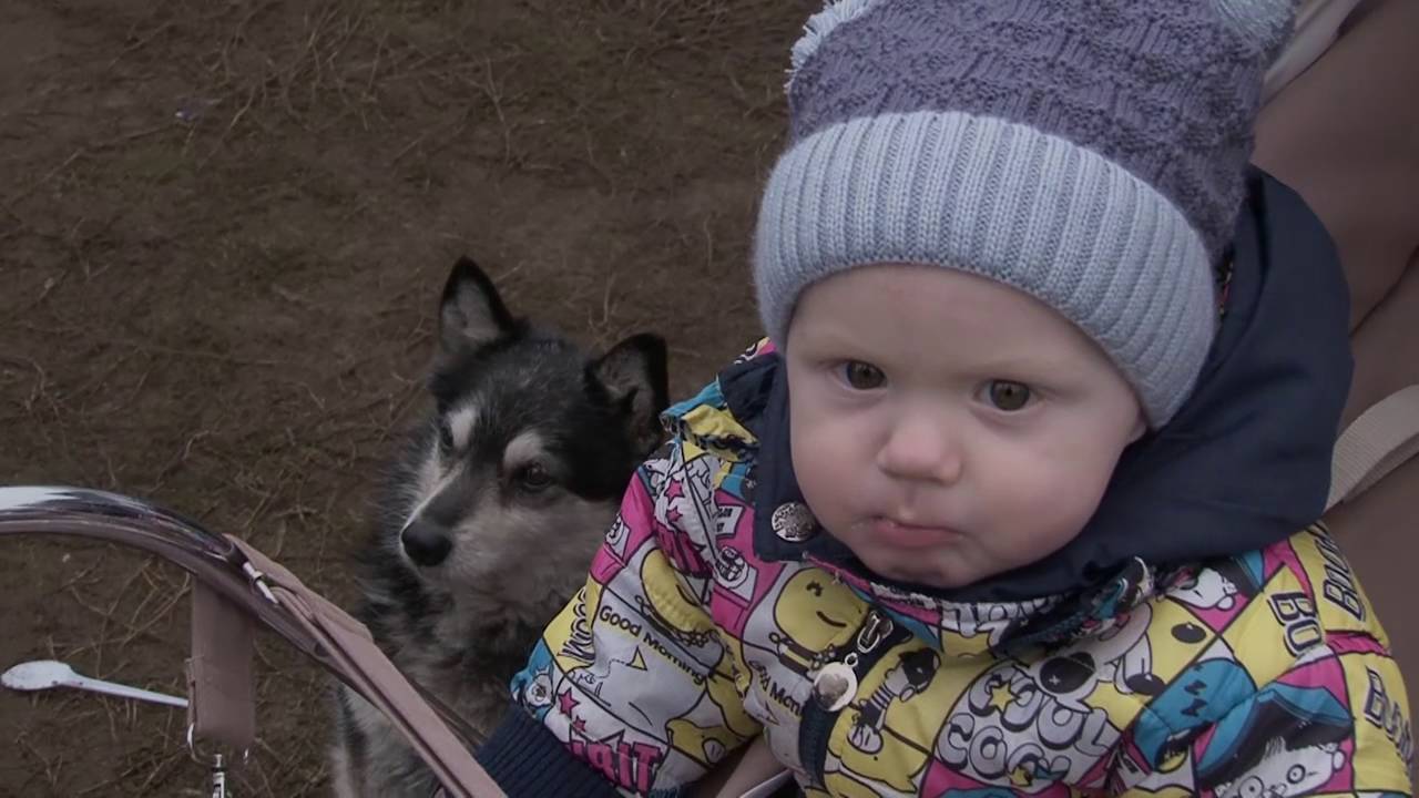 Масляна (Білий Колодязь) - 2016