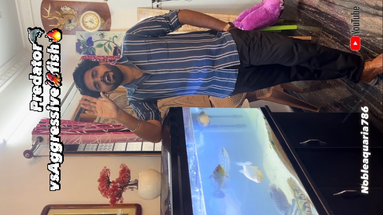 A Hot topic🥵 - Predator vs Aggresive Fish🔥💥
