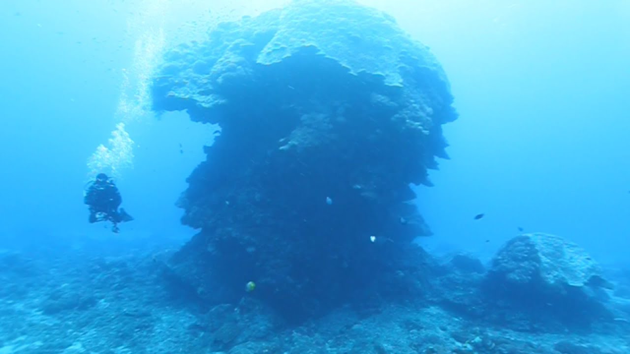 綠島微孔珊瑚礁「大香菇」再萎縮 覆蓋面積剩35%｜20230414 公視晚間新聞