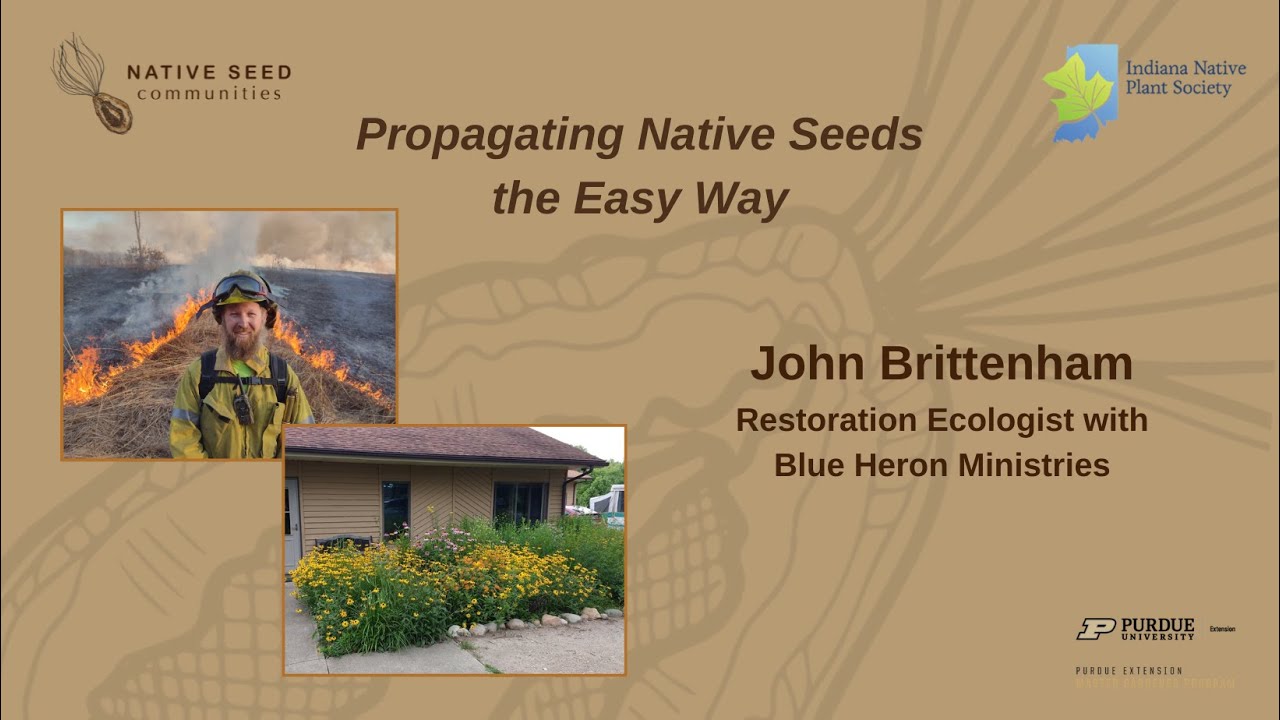 Propagating Native Seeds the Easy Way with John Brittenham