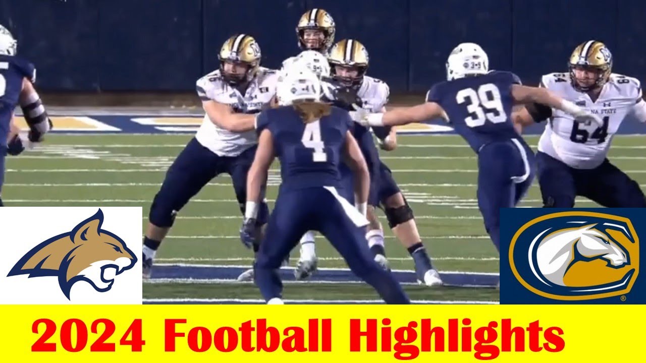 Montana State vs UC Davis Football Game Highlights 11 16 2024