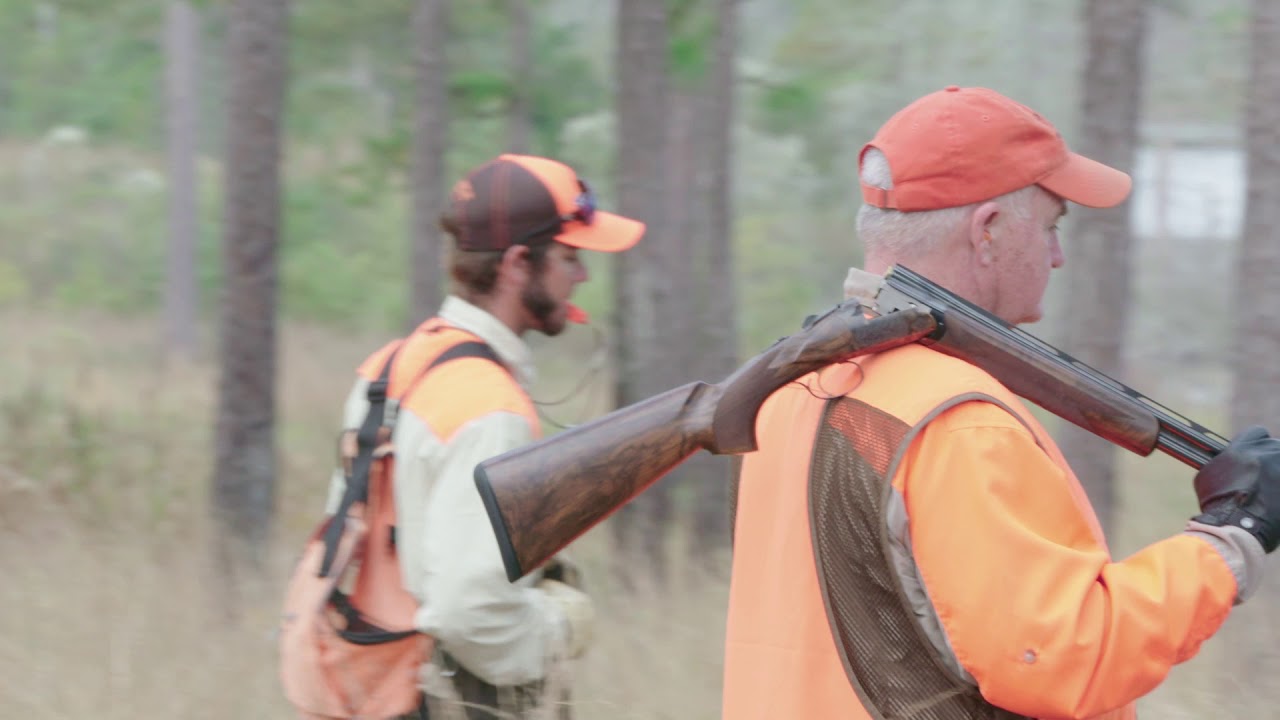 Southwind Plantation |  Quail Hunting Safety Video